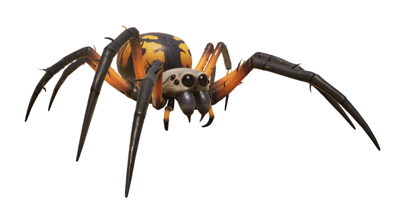 Orb Weaver Jr.